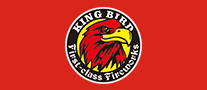 霸鳥KINGBIRD怎么樣
