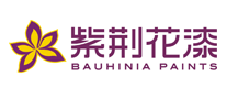 Bauhinia紫荊花漆怎么樣