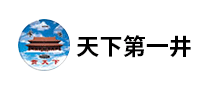 天下第一井怎么樣