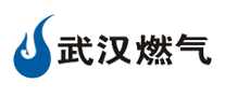 武漢燃?xì)庠趺礃? />
                                </div>
                                <div   id=