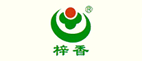 小龍人怎么樣