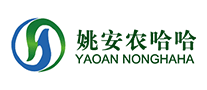 回顏怎么樣