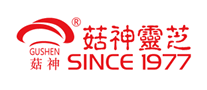 菇神靈芝怎么樣