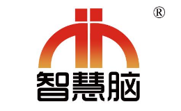 智慧腦怎么樣