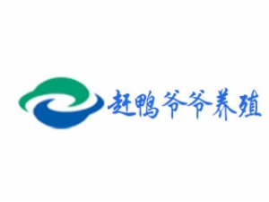 趕鴨爺爺養(yǎng)殖怎么樣